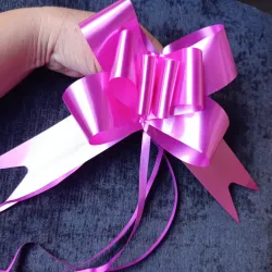 🎀 Lazos grandes en rosado 🩷