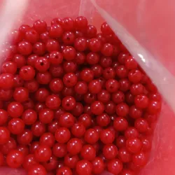 Perlas plásticas redondas de 6mm color rojo