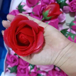 Rosa roja 🌹❤️