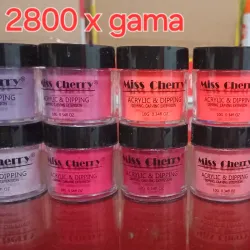 Acrylic 10g gama de 12