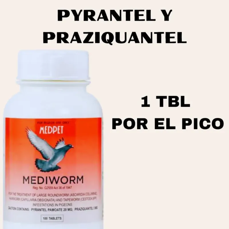 1- MEDIWORDM