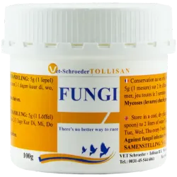 1 - TOLLISAN FUNGI POWDER 100 gr 