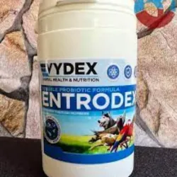 11 - VYDEX ENTRODEX 650 gr