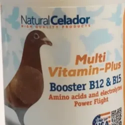 17 MULTI VITAMIN-PLUS B12-B15