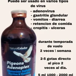 2- ADENOPLEX 100 ml