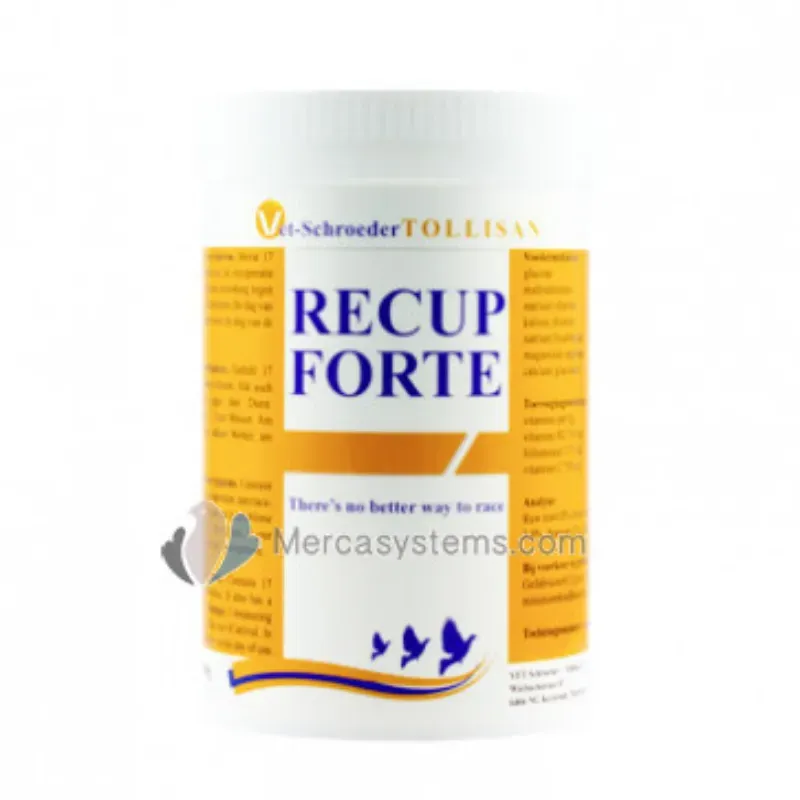 6 - TOLLISAN RECUP FORTE 300 gr 