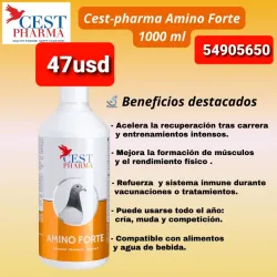 Amino forte
