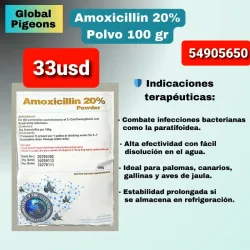 Amoxicillin 20%