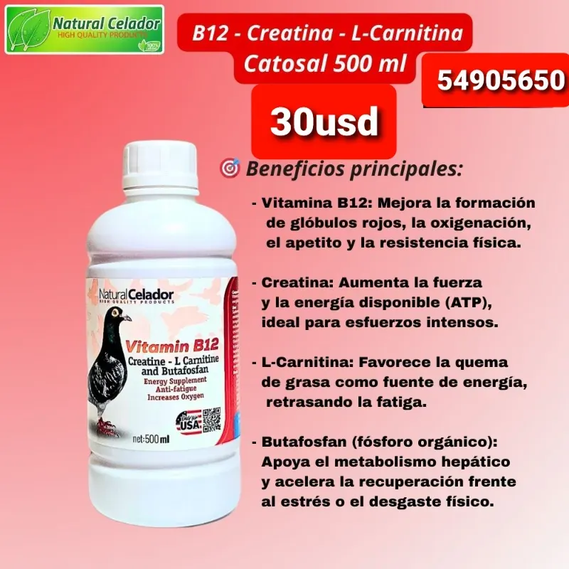 B12