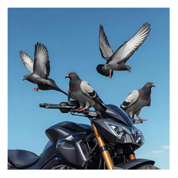 En FarmaPalomas Plus ahora ampliamos nuestro catalogo, además de medicamentos para palomas, tenemos la de todo para mejorar tu moto, y ponerla en otro nivel.
Partes y piezas y accesorios de maxima calidad. también contamos con todo lo que necesita para sus Palomas, tenemos todo tipo de medicamentos:
 Aceites  
 Activador Energético  
 Activador Metabólico  
 Aminoácidos  
 Antibacteriano  
 Antibióticos  
 Celadores  
 Desparasitarte  
 Digestivos  
 Energizantes  
 Potenciadores Y Vitaminas  
 Prebióticos  
 Recuperadores  
 Resistencia Y Energía  
 Vitaminas 
En FarmaPalomas Plus hacemos que sus palomas vuelen más.
