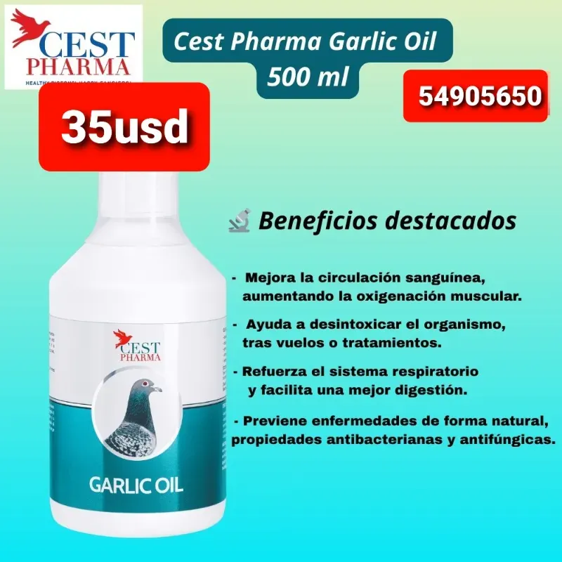 Garlic oil