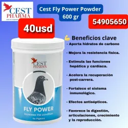 Power powder 
