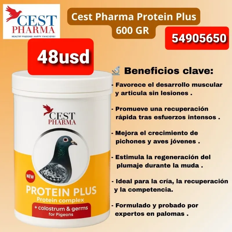 Protein plus 