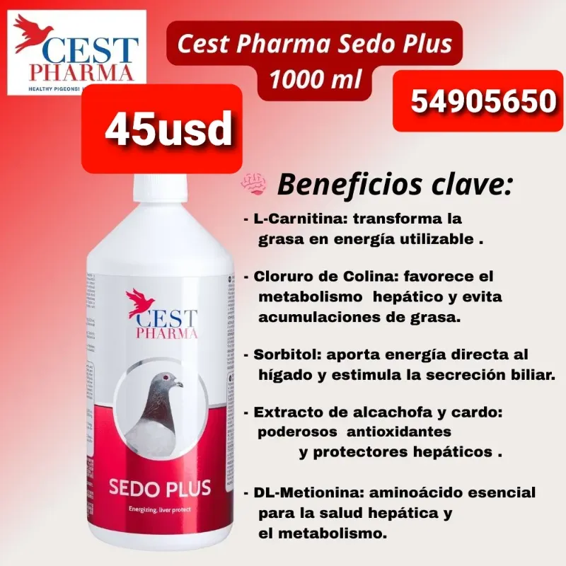 Sedo plus