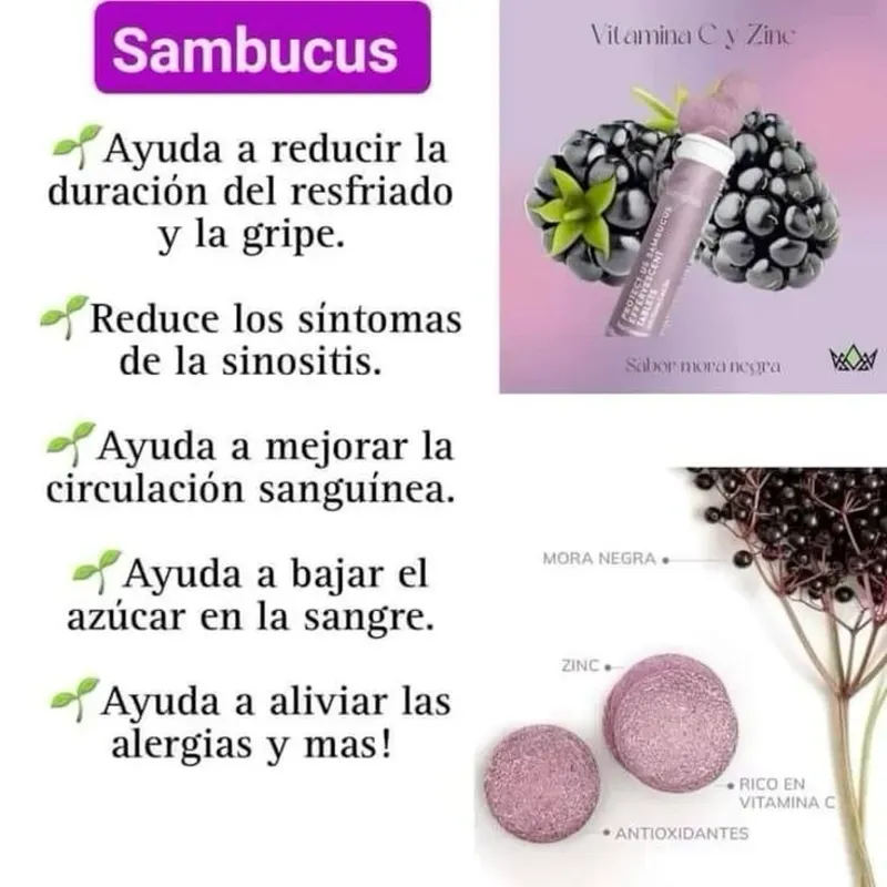 Sambucus NUTRIPLUS
