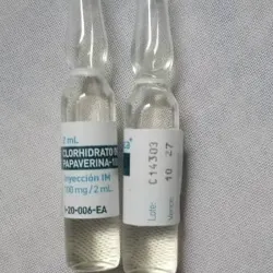 Papaverina Clorhidrato iny. (100mg/2ml)