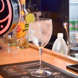 Gin Tonic