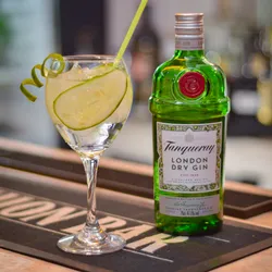 Gin Tonic