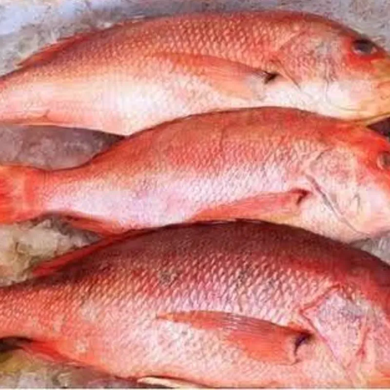 Pargo