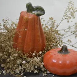 Calabaza mágica