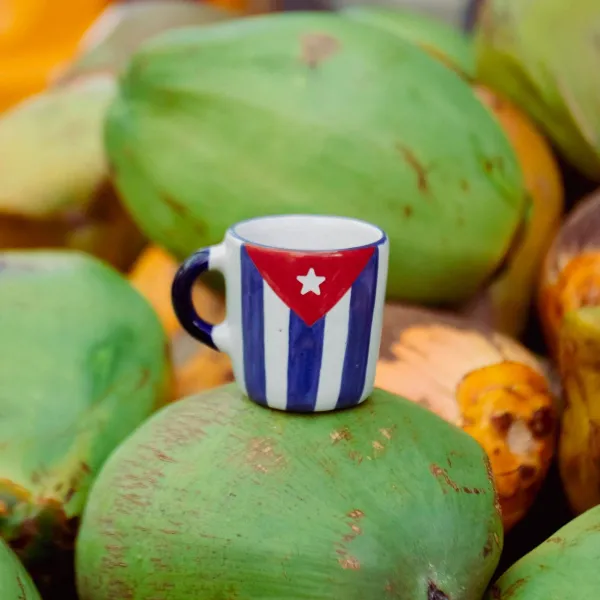 Faval Artesanías le apuesta al diseño y confección de cerámica utilitaria y decorativa cubana desde el sello de originalidad que por más de una década nos ha caracterizado, con piezas como las que se relacionan en este catálogo -que son solo una muestra representativa de la variedad de propuestas- pensadas para mejorar la estética del hogar.
Brindamos el servicios a domicilio. Toda la información que usted pueda necesitar la puede conocer a través del contacto WhatsApp (+53) 50675200.
Este catálogo se actualiza periódicamente según la disponibilidad de nuevos diseños y productos.