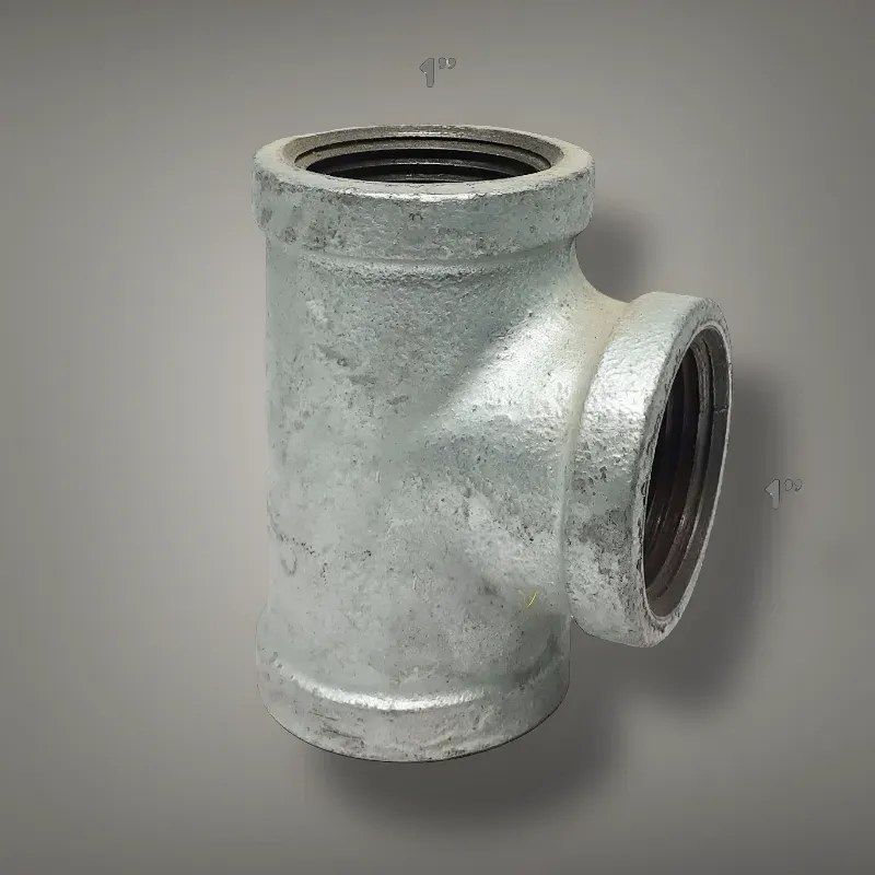 🚽 T Galván 1" 