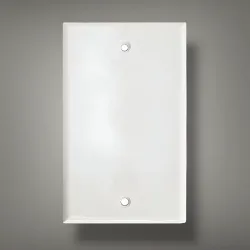 💡 Tapa Ciega 4”x2”