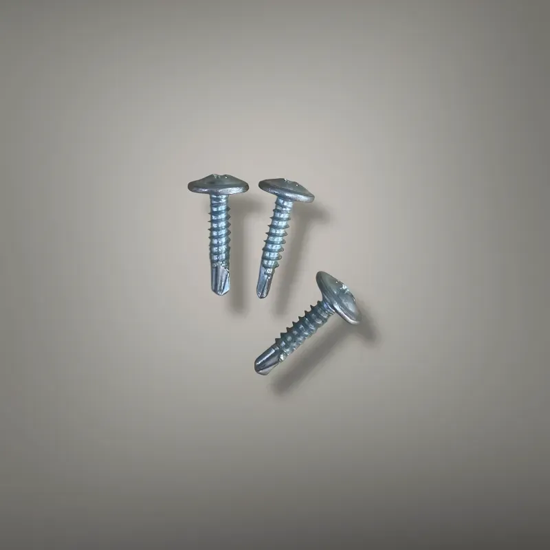 🔩 Tornillo Come Coco