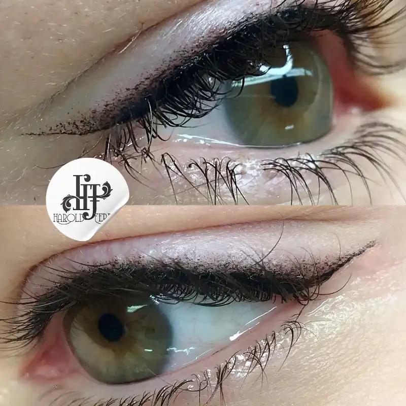 Delineado Tipo Cat Eye
