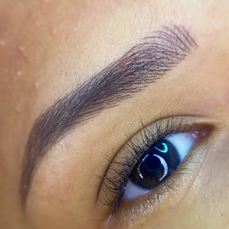 Retoque del Mes de Micropigmentación de Cejas