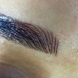 Retoque del Mes de Micropigmentación de Cejas