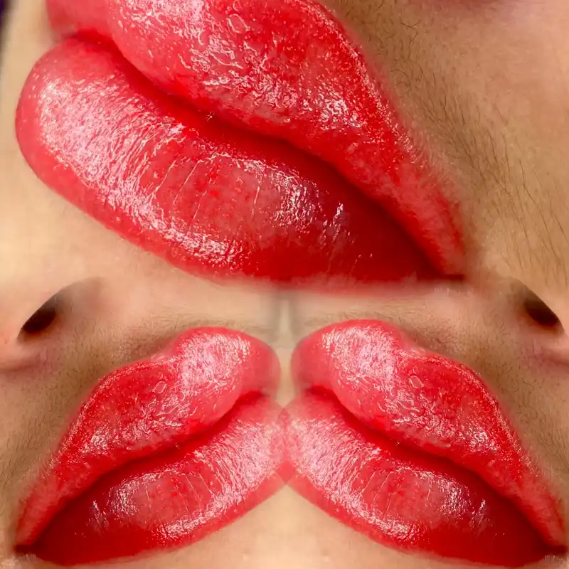 Técnica Full Lips
