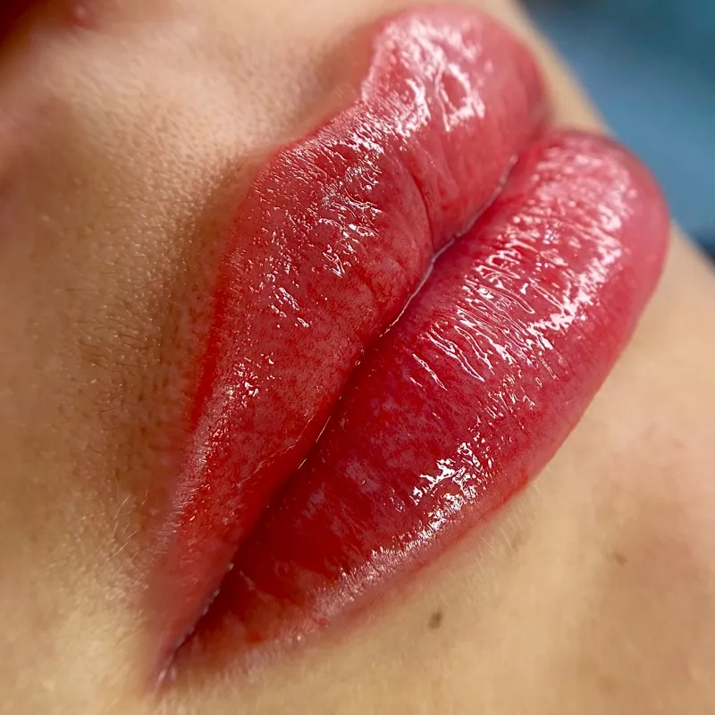Técnica Full Lips