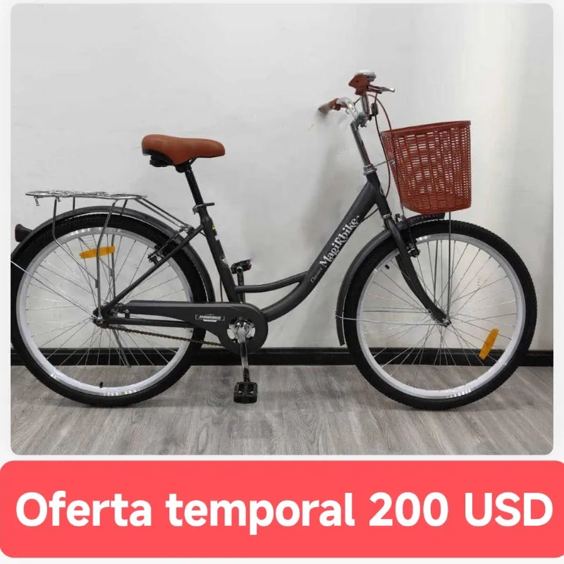 Bicicleta con cesta 