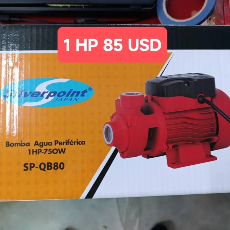 Bomba de agua de 1HP 