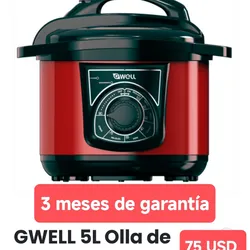 Olla de Presión Eléctrica GWELL 5L 