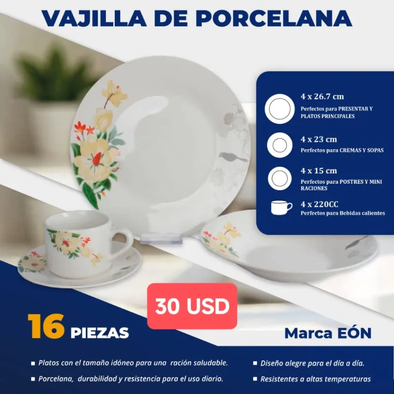 Vajilla de Porcelana 