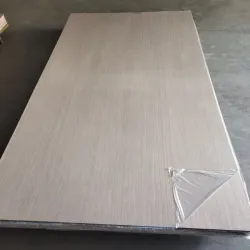 Plancha de PVC 282x122 cm