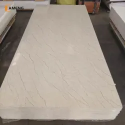 Plancha de PVC 282x122 cm