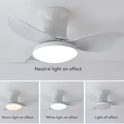 Ventilador de techo de 25" VEN-004