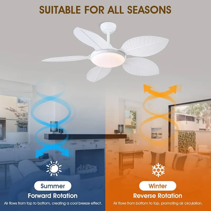 Ventiladore de Techo 