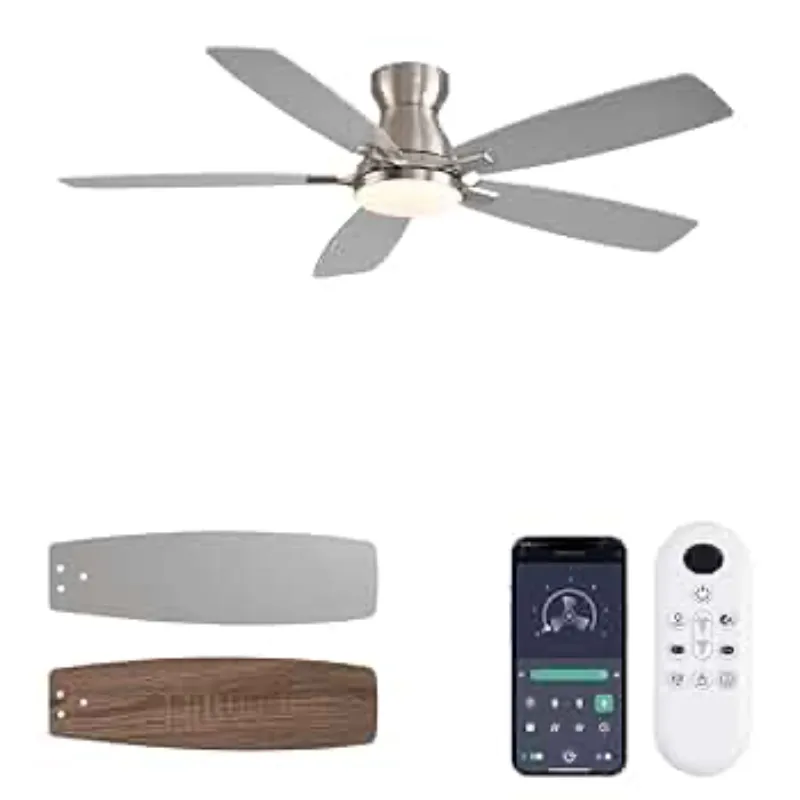 Ventilador de Techo