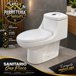 Sanitario monolítico