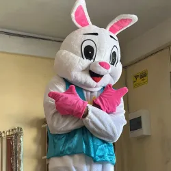 🐰🐇