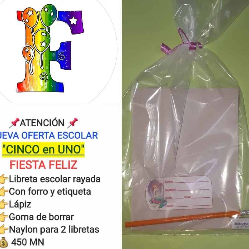 OFERTA ESCOLAR "CINCO en UNO"