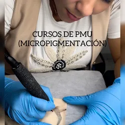 MICROPIGMENTACIÓN/PMU