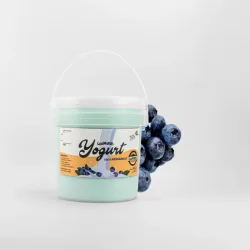 Yogurt Probiótico Arándanos 4L
