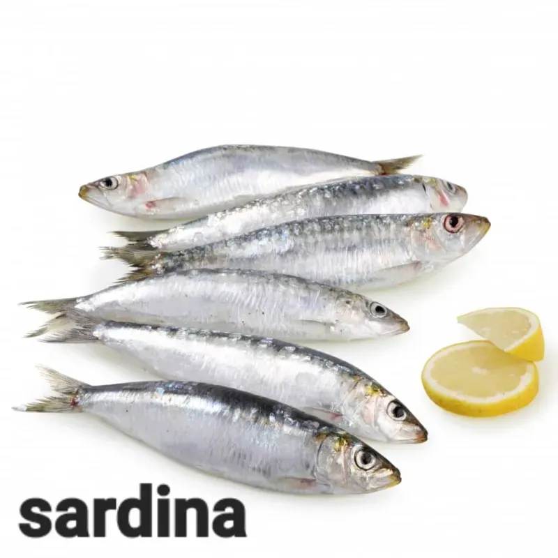 Sardinas 2lb