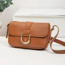 Cartera color marrón hebilla dorada