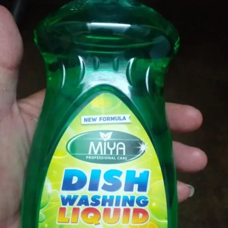 Líquido de Fregar Dish Washing (500ml)